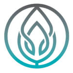 TherapyTribe Private Practice Marketing