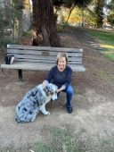 Campbell, California therapist: Janice Shapiro, marriage and family therapist