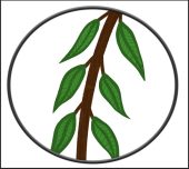 Muncie, Indiana therapist: Willow Branch Counseling, counselor/therapist