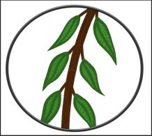  therapist: Willow Branch Counseling, 