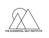 Pittsburgh, Pennsylvania therapist: Elemental Self Institute, licensed clinical social worker