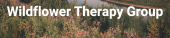 Charlotte, North Carolina therapist: Wildflower Therapy Group, licensed clinical social worker