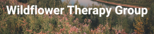  therapist: Wildflower Therapy Group, 