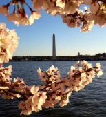 Washington, Washington, D.C. therapist: Denise Jones, licensed clinical social worker