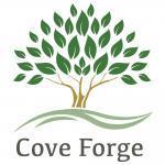 Find a Treatment Center - Cove Forge Behavioral Health